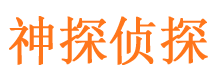 高平私家侦探